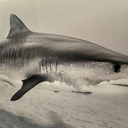 فندق Cinema Europaplatz - Brand New Boutique 2025 - 2*