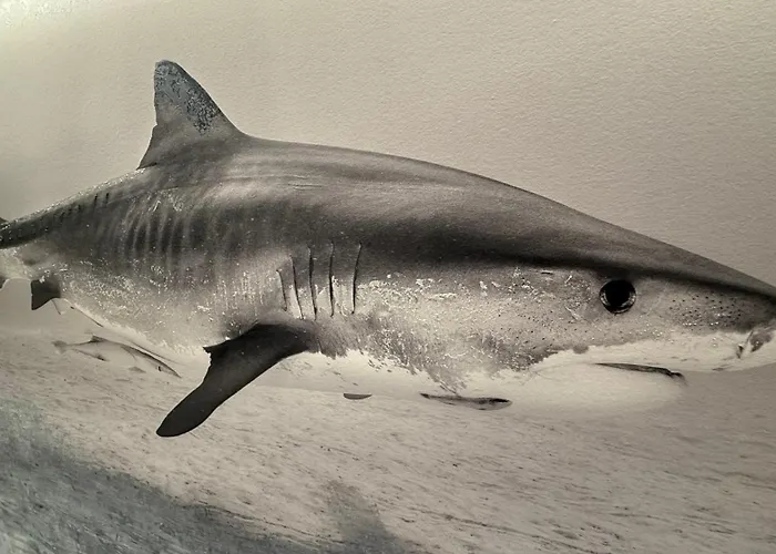 Hotel Cinema Europaplatz - Brand New Boutique 2025 - 2*